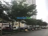 Căn Hộ Lô Mặt Tiền Hqc Plaza Giá 1 Tỷ 200 Triệu - 63M2 - Ảnh 5