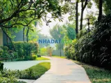 Bán Nhanh Mulberry Lane 122M2, 3N, Full Đồ, Giá 6 - Ảnh 2