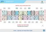 Căn hộ 3PN cao cấp tại Viha Complex - Giá tốt nhất 2024 - Ảnh 2