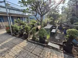 Đất Lô Góc Vườn Lài Quận 12: 344m2, 16x22m, Giá 1x Tỷ - SHR - Ảnh 5