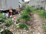 Đất An Phú Đông 9, Quận 12: 63m2, 4x16m, Giá 2.75 Tỷ - Vị Trí Đắc Địa - Ảnh 2