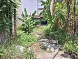 🔥 Giảm 900tr/Lô đất 349m² Thạnh Xuân 38, Quận 12 - Ngân hàng hỗ trợ - Ảnh 3