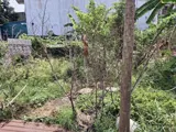 🔥 Giảm 250tr - Đất Nền MT 255m² Thạnh Xuân 23, Q12 - Ngân hàng hỗ trợ - Ảnh 2