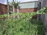 Đất nền phân lô Quốc lộ 1A, Quận 12 - 51m2, Giá 3.x tỷ - Pháp lý rõ ràng - Ảnh 4