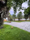 🔥 Giảm Giá Sốc 16 Tỷ Nhà Gỗ Củ Chi 1266m2 - Vị Trí Đắc Địa - Ảnh 3