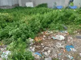 Đất Mặt Tiền Thạnh Lộc 27 Quận 12: 100m2, Giá 5.x Tỷ - Ngang 5m, Sổ Hồng - Ảnh 2