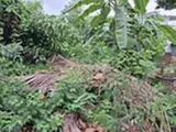 🔥Đất vuông 189m² Gò Dưa, TĐ 4.x tỷ - Vị trí đẹp, SHR - Ảnh 3
