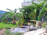 🔥 Giảm 400 Triệu - Đất Nở Hậu Ecotown Nguyễn Văn Bứa - 156m2 - Chỉ 2.x Tỷ - Ảnh 4
