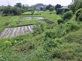 Đất Nền Củ Chi View Kênh - Giá Rẻ, Pháp Lý Rõ - 5.5 Tỷ - Ảnh 1