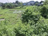 🔥 Giảm 400tr - Đất View Kênh Củ Chi - 1894m2 - 5.5 tỷ - Ảnh 2