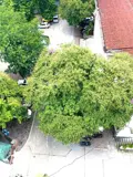 Chung Cư Dịch Vụ Lương Thế Vinh - Thanh Xuân: Đầu Tư Sinh Lợi, Vị Trí Đắc Địa - Ảnh 4