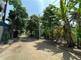Bán đất Quận 9 - Phường Long Phước - 82.7m2 - Giá 3 tỷ (Thương lượng) - Ảnh 4