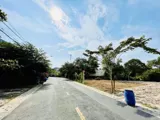 Bán Gấp Đất Nền Vị Trí Đẹp, Mặt Tiền Nhựa 10m, Tân Thông Hội, Củ Chi - Giá Chỉ 1.5 Tỷ - Ảnh 1