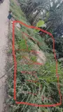 Bán Đất Nền Xóm 6, Tiền Lệ, Tiền Yên - Giá Tốt, Pháp Lý Rõ - Ảnh 1