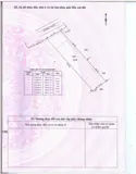 Đất nền Tân Thạnh Tây, Củ Chi - 560m2, Mặt tiền đường Nguyễn Thị Ni, Giá 4.1 tỷ - Ảnh 1