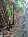 🔥 Bán Đất Ngang 76m² Hà Huy Giáp, Quận 12 - Giá 2.78 Tỷ - Ảnh 1