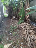 🔥 Bán Đất Ngang 76m² Hà Huy Giáp, Quận 12 - Giá 2.78 Tỷ - Ảnh 3