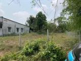 Sốt đất Củ Chi: Lô đất 2.5 tỷ nay chỉ còn 1.9 tỷ - Đầu tư/Nhà vườn - Ảnh 4