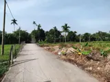Bán Đất 2 Mặt Tiền Bình Mỹ, Củ Chi - 2700m² Full Thổ Cư, Giá Tốt - Ảnh 2