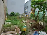 🔥 Bán đất An Phú Đông 9, Quận 12 - 70m2, Giá chỉ 3.3 tỷ (TL) - Ảnh 2