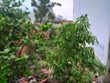 Đất Nở Hậu Nguyễn Thị Búp, Quận 12 - 72m2, Giá 3.2 Tỷ (TL) - Ảnh 2