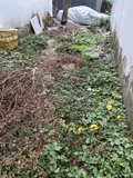 🔥 Giảm 900tr - Đất Thạnh Lộc 81m2, Ngang 4m, Xây Dựng Tự Do, Vị Trí Đắc Địa - Ảnh 5