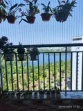 Bán Căn Hộ Góc 76m² View Hồ, Full Nội Thất - KĐT Thanh Hà - Ảnh 4