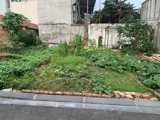 Đất Nhuế, Kim Chung - 46m2, 2 Mặt Thoáng, Giá Tốt - Đầu Tư/Ở - Ảnh 2