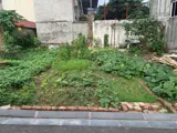 Đất Nhuế, Kim Chung - 46m2, 2 Mặt Thoáng, Giá Tốt - Đầu Tư/Ở - Ảnh 4