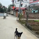 Bán Lô Đất Vị Trí Đắc Địa Gần Chợ Mun, Trường Học, Tiện Ích Ngút Ngàn - Ảnh 2