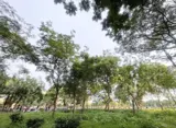 Nhà Mới Kính Koong - Hoàng Mai: 35m2, 5 Tầng, Ô Tô Tận Cửa, Sổ Đỏ Chính Chủ - Ảnh 5