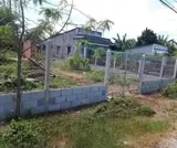 Bán Gấp Đất Full Thổ Cư Mặt Tiền Tân Phú Trung, Củ Chi - 216m2 SHR - Ảnh 2