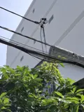 Cho Thuê Nhà Vườn Lài Q12: 100m2, 4x17m, Giá 12tr/tháng - Vị Trí Đắc Địa - Ảnh 5