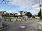 Đất Nam Hồng - Đông Anh: Đầu Tư Sinh Lời, Vị Trí Đắc Địa - Ảnh 3
