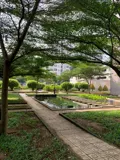 Bán Căn Góc 2PN HQC Plaza - Giá 1.3 Tỷ Bao Sang Tên - Ảnh 3