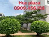 Bán Căn Góc 2PN HQC Plaza - Giá 1.3 Tỷ Bao Sang Tên - Ảnh 9
