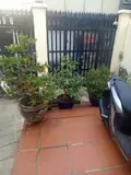 Bán nhà Quận 2, Phường Thảo Điền - Vị trí đẹp, pháp lý rõ ràng - Ảnh 5