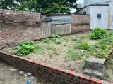 🍀 Bán Đất 51m2 Mạnh Tân, Thuỵ Lâm - Sát Phố, Tiện Ích Vượt Trội - Ảnh 1