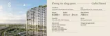 Bán Căn Hộ 2PN Galia Yên Sở: 55-68m2, View Xanh, Tiện Ích Vượt Trội - Ảnh 4
