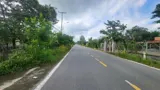 Bán Lô Đất 1000m2 Đỗ Đăng Tuyển, Củ Chi - Ngay Chợ Lô 6, Giá 3.3 Tỷ - Ảnh 3