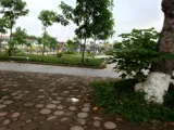 Chính Chủ Cần Thanh Khoản Lô Đất 85m² Đông Anh - Hải Bối, Ô Tô, Kinh Doanh, Giá Đầu Tư - Ảnh 1