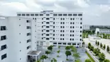 Bán Gấp Liền Kề CienCo5 Mê Linh - Sát Đại Học Tài Chính, Giá Tốt - Ảnh 3