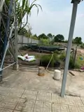 Cho Thuê Nhà Kho Bãi Mặt Bằng Củ Chi Rộng Rãi - Giá Tốt - Ảnh 4