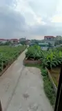 Chính Chủ Cần Bán Nhà 50.1m² - Vị Trí Đắc Địa Quận Quốc Oai - Ảnh 8