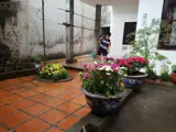 Bán Đất Vàng Quận Hai Bà Trưng: Đầu Tư Sinh Lợi, Xây Dựng Tương Lai - Ảnh 2