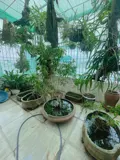 Nhà ngọc thuỵ đẹp - 31m - Giá 5.6 tỷ - Vị trí trung tâm, ô tô đỗ cửa - Ảnh 4