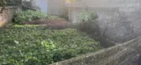 Bán Đất Xuân Mai - Chương Mỹ: Sổ Đỏ, Mặt Tiền, Tiềm Năng Lợi Nhuận Cao - Ảnh 4