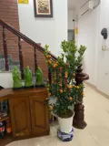 Bán nhà Hoàng Hoa Thám - 7.7 Tỷ - 41m² - 2 Mặt Ngõ - Gần Hồ Tây - Ảnh 1