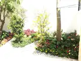 Chính chủ cần bán biệt thự K300 Tân Bình - Giá ưu đãi - Ảnh 2