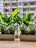 Căn Hộ Độc Đáo 180m2 Hapulico Complex - 4PN, Full Nội Thất - Ảnh 3